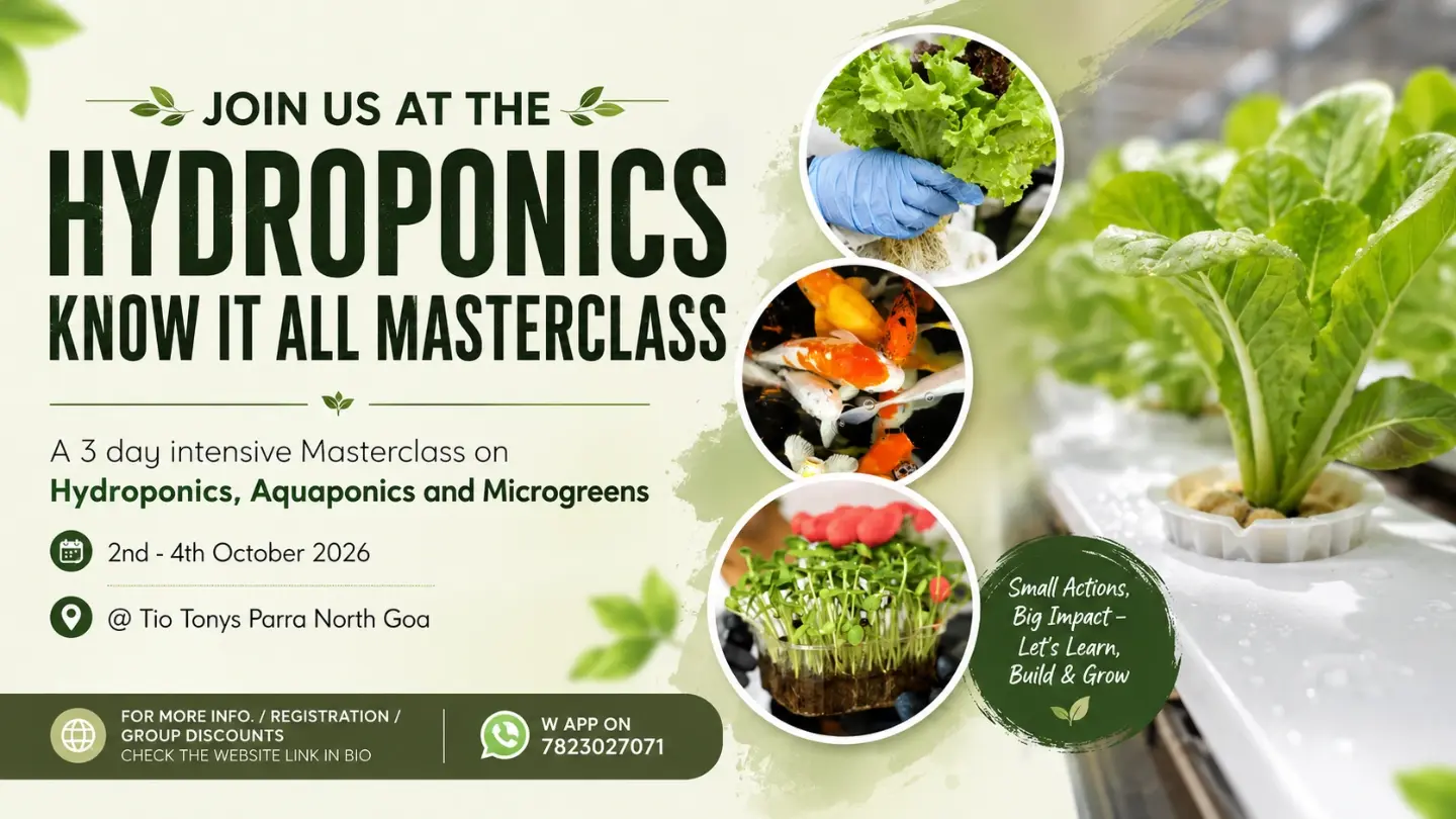 Hydroponics Know-It-All Masterclass