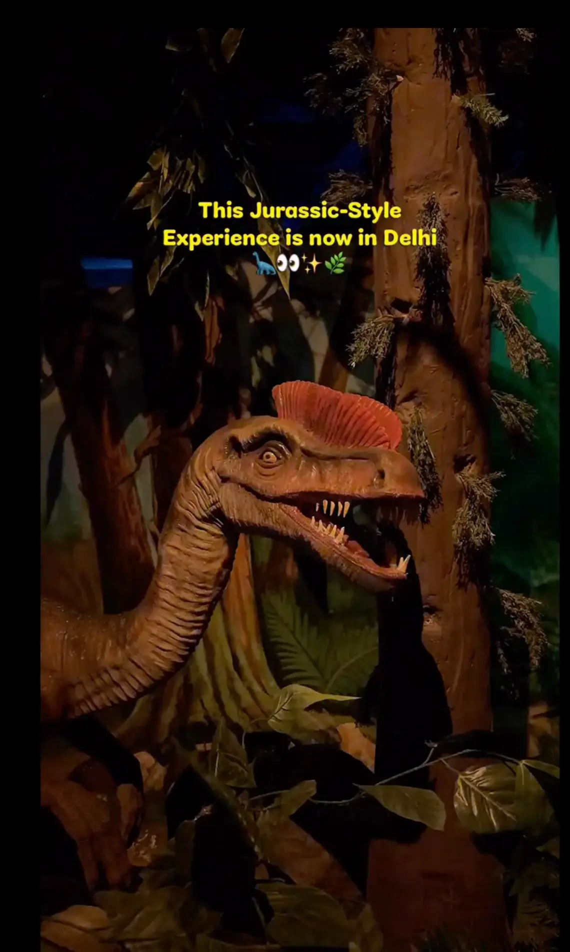 Jurassic Experience — Dinosaur Adventure at National Science